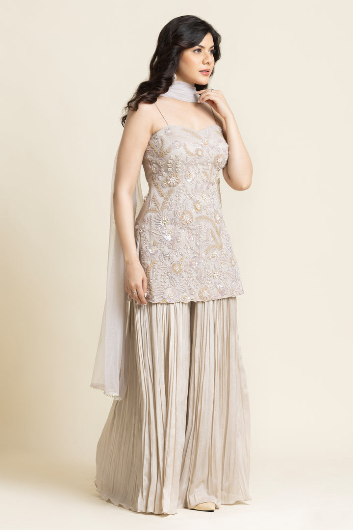 Beige Net Sequence And Cut dana Embroidered