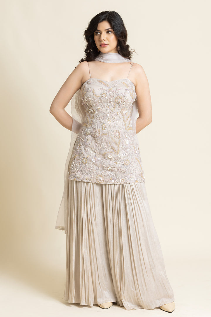 Beige Net Sequence And Cut dana Embroidered