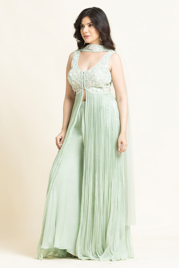 Pista Georgette Sequence Embroidered Anarkali