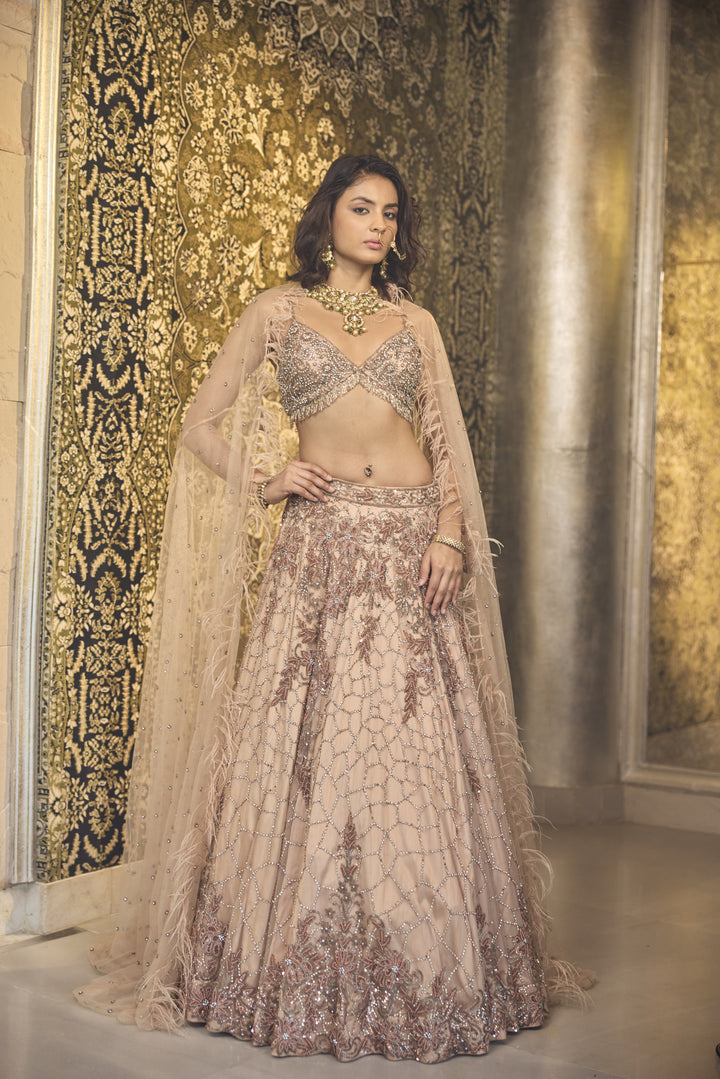 Enchanting Nude Net Lehenga with Swarovski & Sequin Splendor