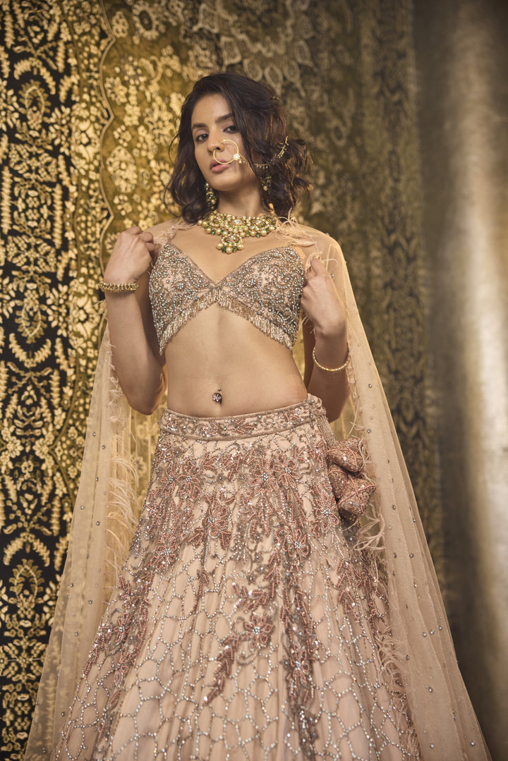 Enchanting Nude Net Lehenga with Swarovski & Sequin Splendor